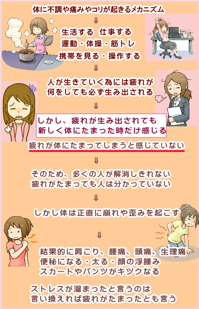 体に何かの不調やダルイ、キツイ肩こり、腰痛、頭痛、生理痛、便秘、膝の痛みなどが起きるのも、小顔矯正、骨盤矯正、猫背矯正でも