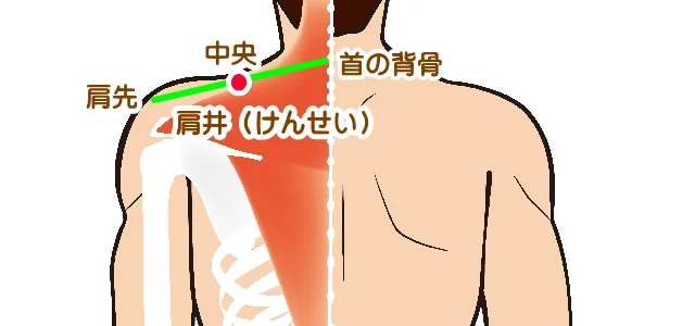 肩のこりには効果