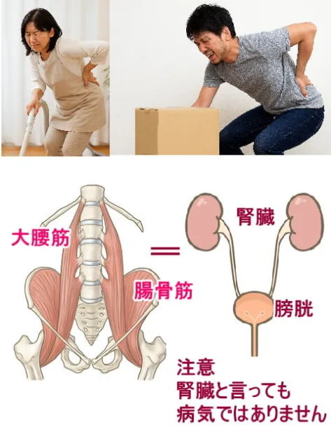 疲れの蓄積が体の崩れ、体の歪みになり、痛みになる