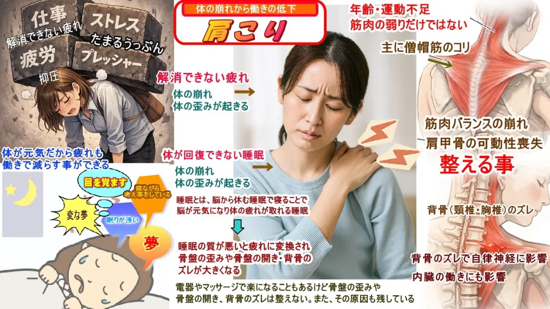 毎日の生活で肩の筋肉がコリを