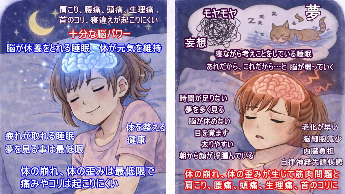 脳から休む睡眠で寝ることで脳が元気になり体の疲れが取れる睡眠