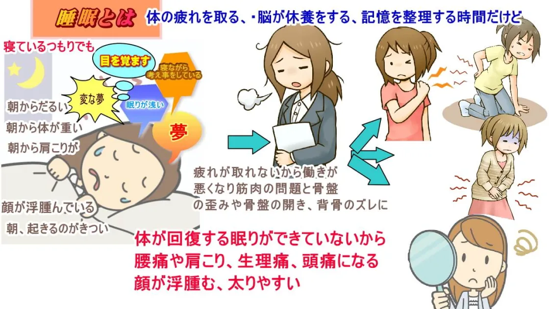 脳から休む睡眠で寝ることで脳が元気になり体の疲れが取れる睡眠ができている事が元気の源
