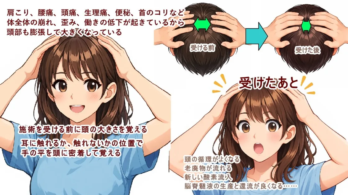 (北九州市小倉南区と小倉北区)体全体の崩れ、歪み、働きの低下があると頭まで大きい