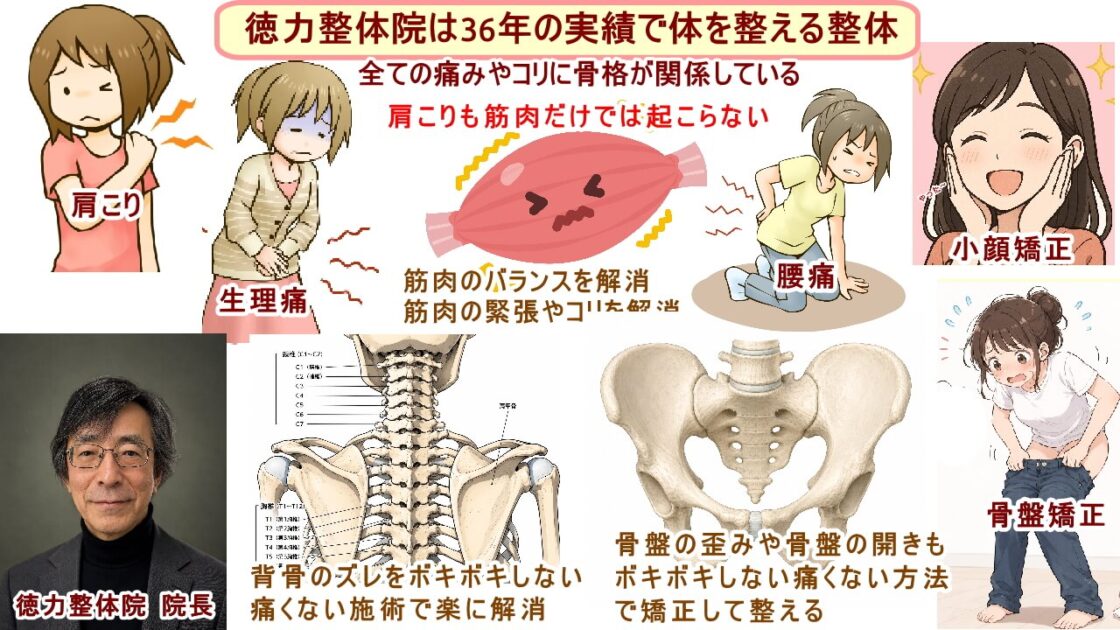 徳力整体院は36年の実績。整体で肩こり、腰痛、頭痛、生理痛、便秘、膝の痛み、首のコリ、小顔矯正、骨盤矯正、