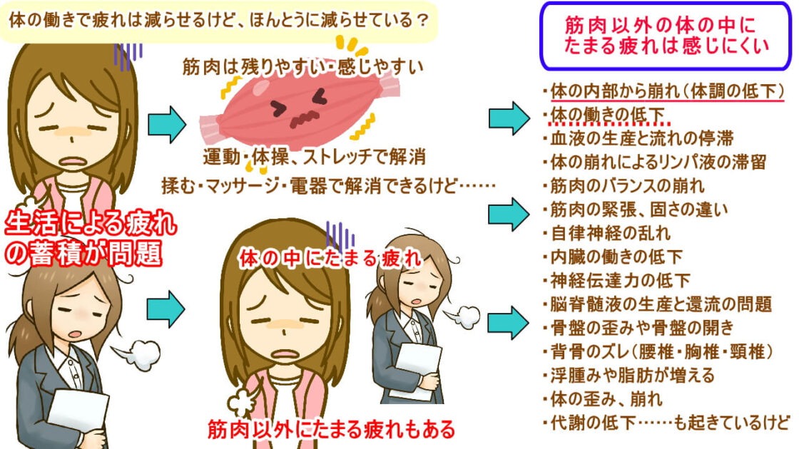 (北九州・小倉の徳力整体院は36年の実績。)疲れは筋肉以外にもたまる
