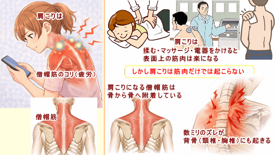 （北九州・小倉の徳力整体院は36年の実績。）ボキボキしない電器任せにしない