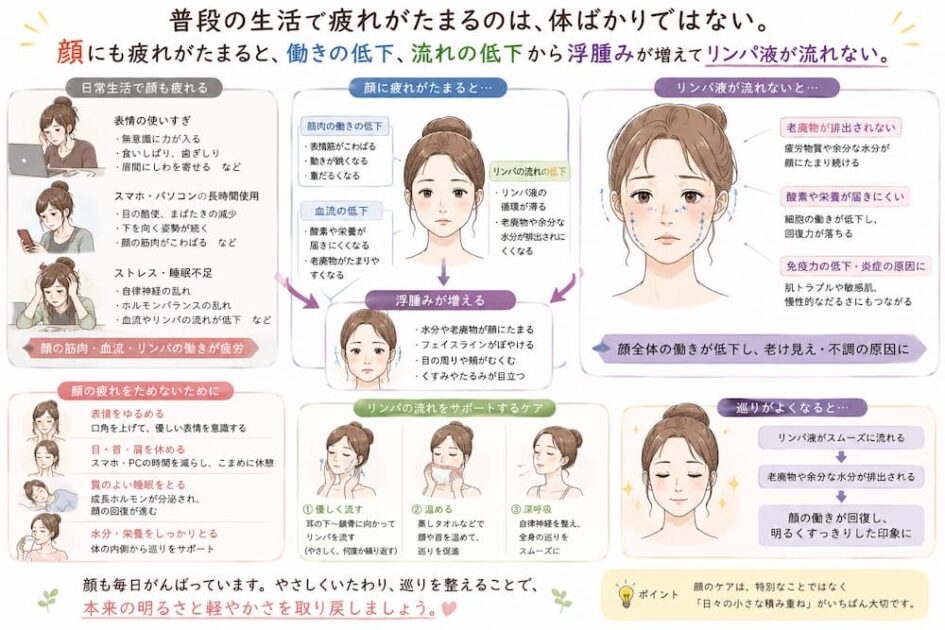 小顔矯正で小顔になれる施術。北九州市・小倉の徳力整体院