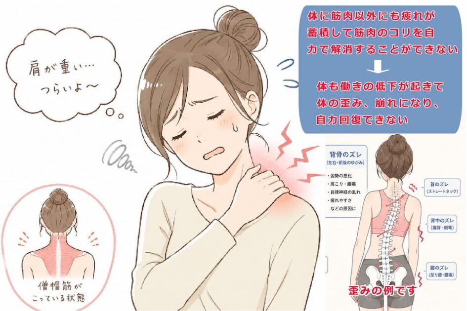 肩こりは筋肉のコリもだけど自力で解消できないのは働きの低下から。北九州市・小倉の徳力整体院。
