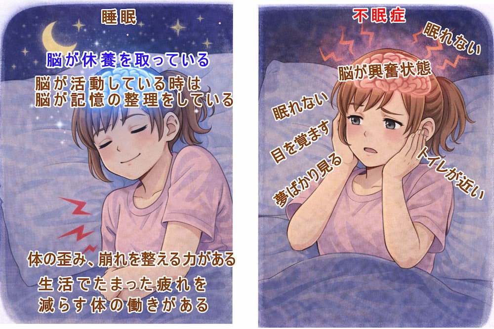 睡眠とは脳が休養を取る事で体の歪み、崩れを減らすこと。北九州市・小倉の徳力整体院。
